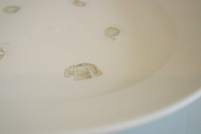 画像1: 長峰菜穂子　貝目リム皿（深め）